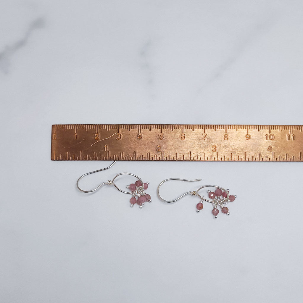 Basket of Raspberries Earrings